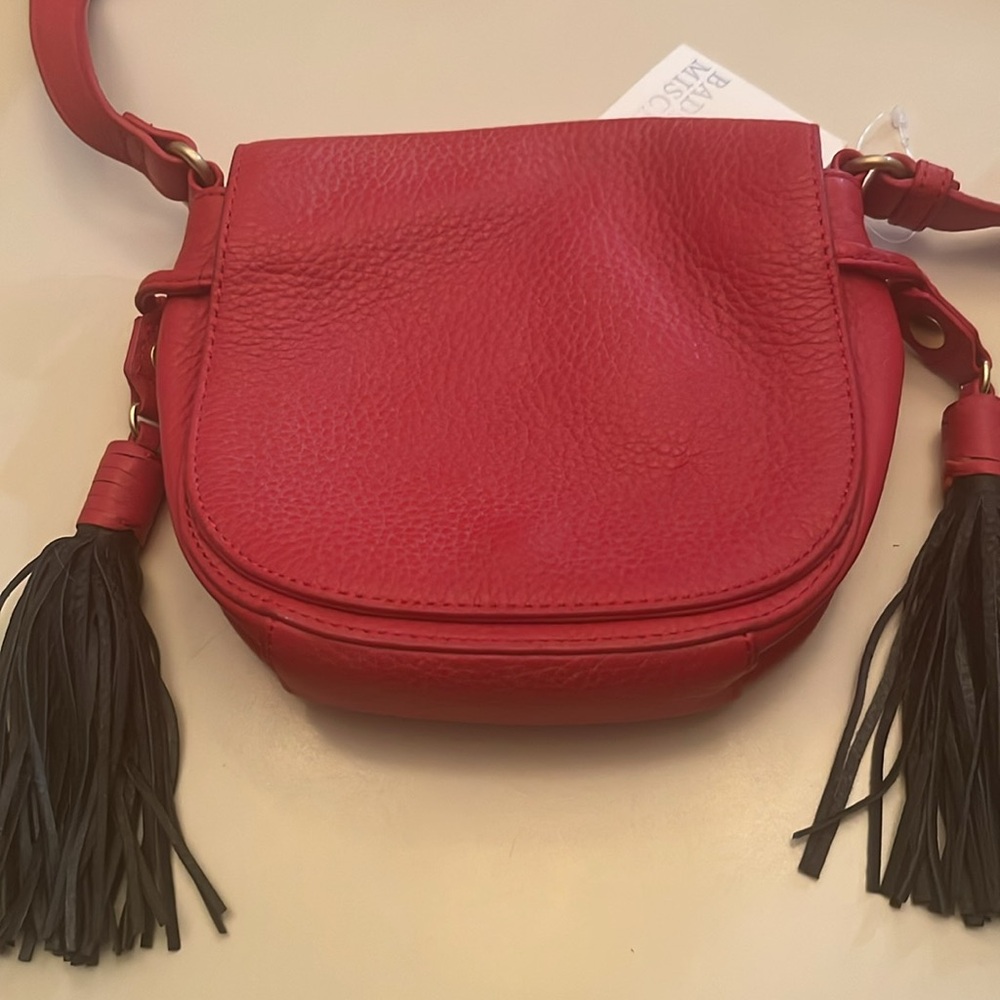 Bagdley Mischka Bailey Bag